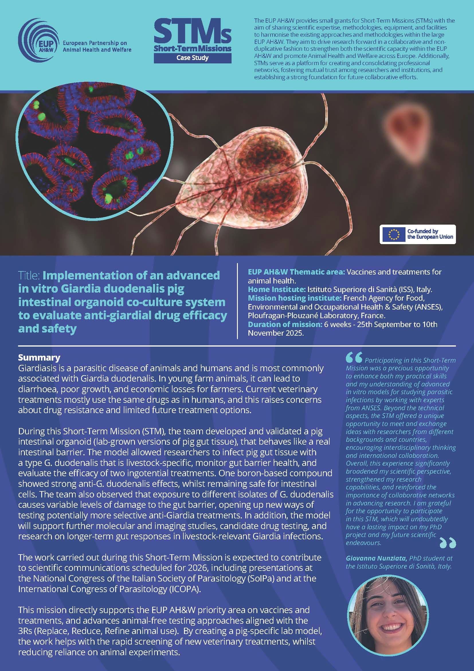 STM 2025 Case Study - Giovanna Nunziata