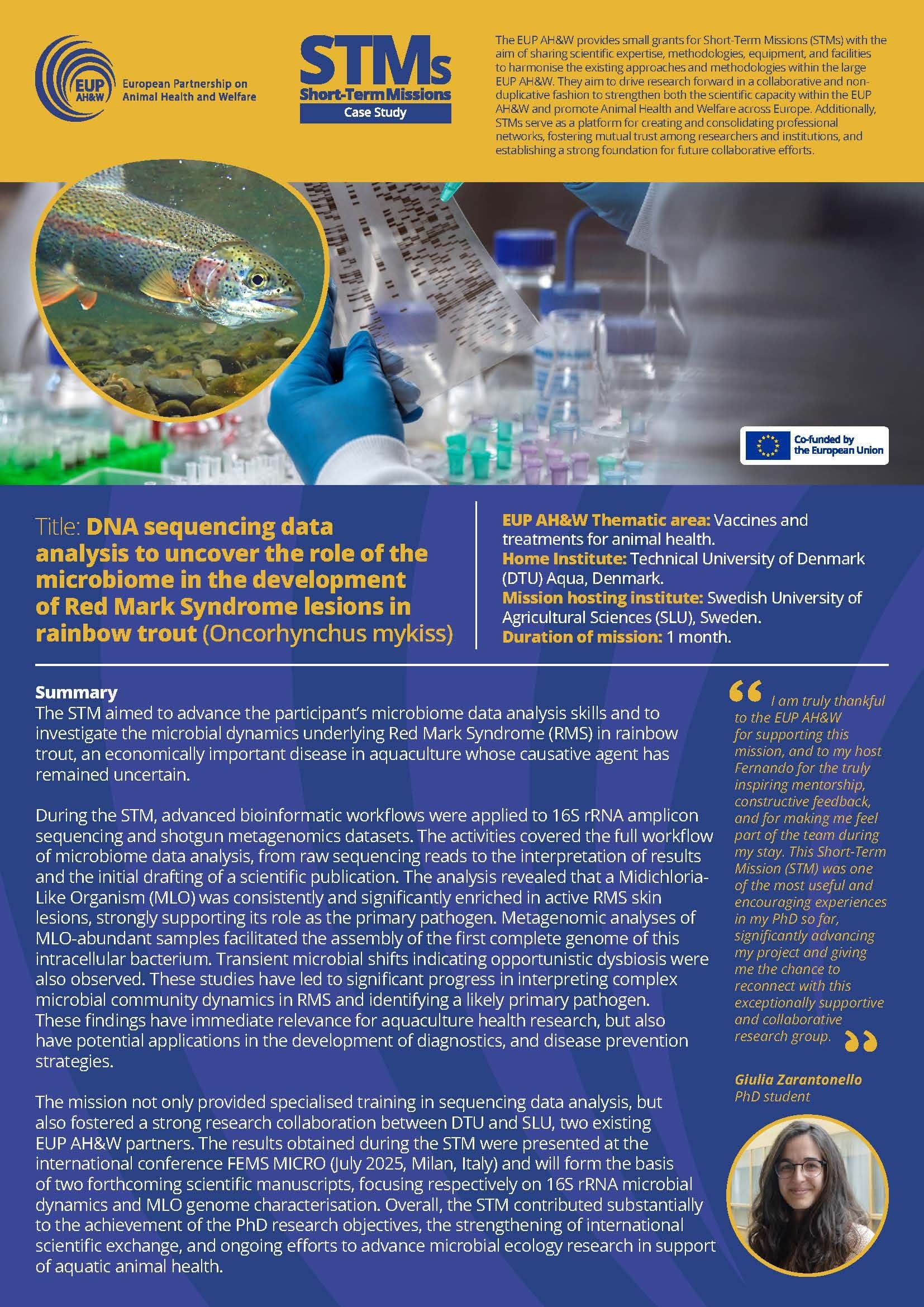 STM 2025 Case Study - Giulia Zarantonello