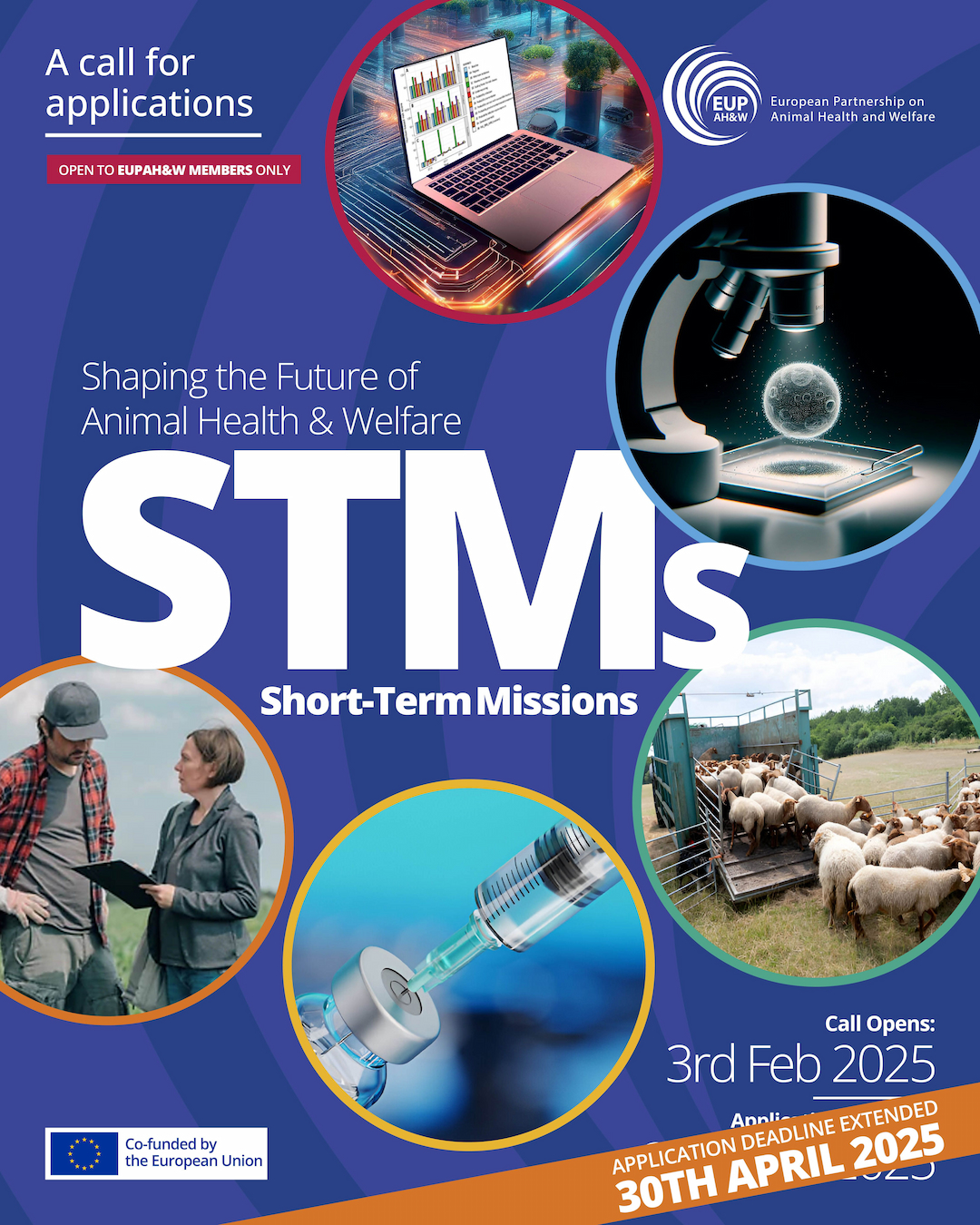 2025 STM Call for Applications